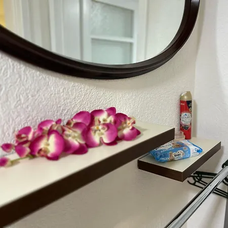 Ramdedovic1 * سراييفو