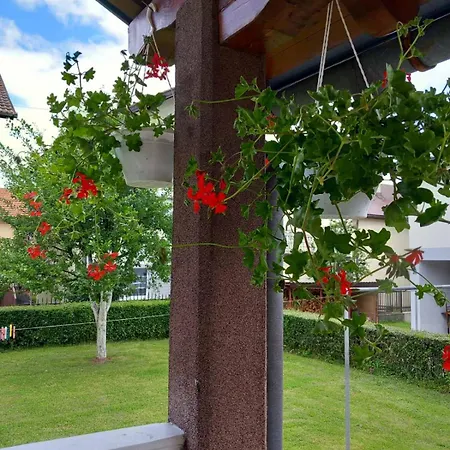 Ramdedovic1 * Szarajevó